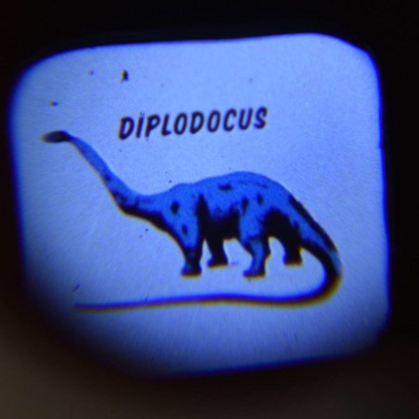 Rex London Latarka projektor Dinozaury