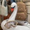 VANILLA COPENHAGEN Koło do pływania Łabędź Swan White 3+
