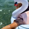 VANILLA COPENHAGEN Koło do pływania Łabędź Swan White 3+