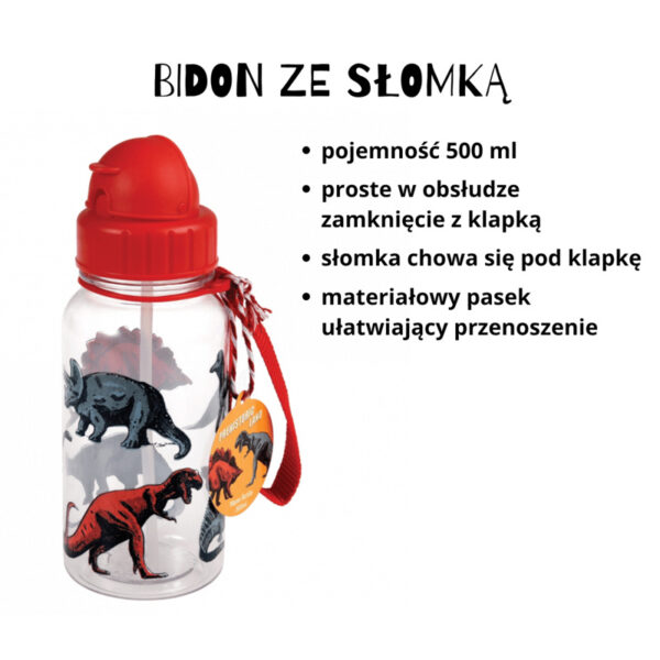 Rex London Zestaw śniadaniowy lunchbox i bidon Dinozaury