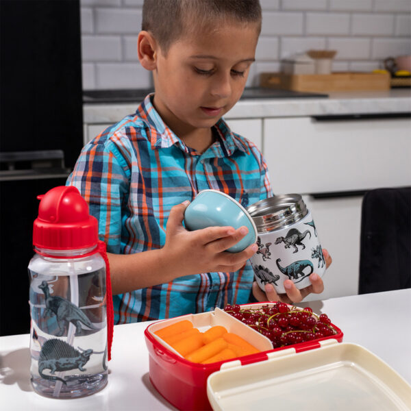 Rex London Zestaw śniadaniowy lunchbox i bidon Dinozaury