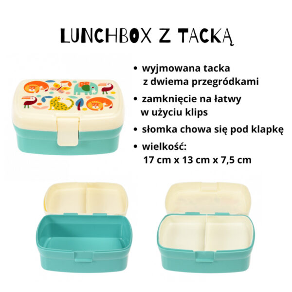 Rex London Zestaw śniadaniowy lunchbox i bidon Dzikie zwierzęta