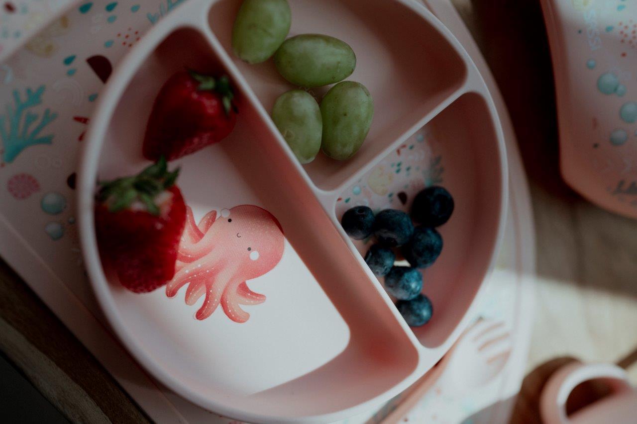 talerz silikonowy z przyssawką ośmiornica sassi