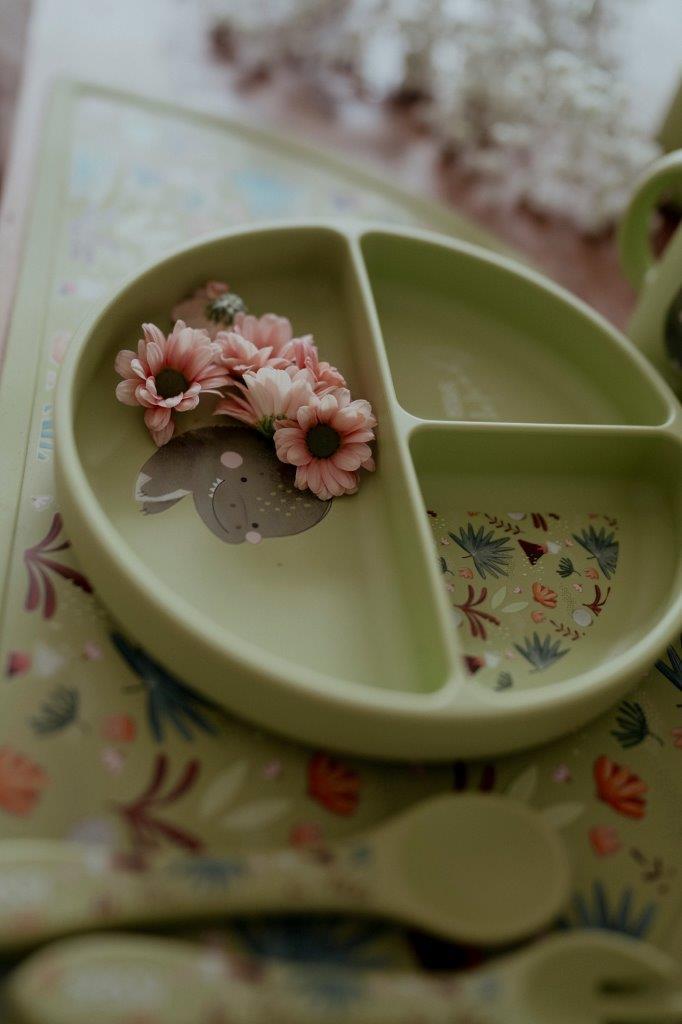 talerz silikonowy z przyssawką dinozaur sassi