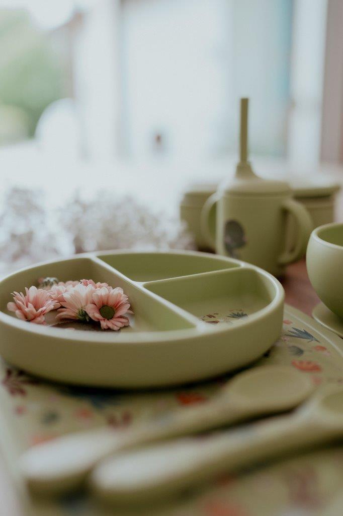 talerz silikonowy z przyssawką dinozaur sassi